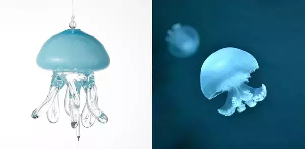 「【京都水族館】風鈴×京和傘の和空間で京の夏を涼やかに「くらげと傘と風鈴と」5月31日（土）スタート」の画像