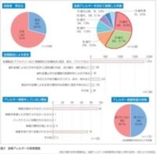 「金属アレルギー診療と管理の手引き 2025」を発行（厚生労働科学研究成果）