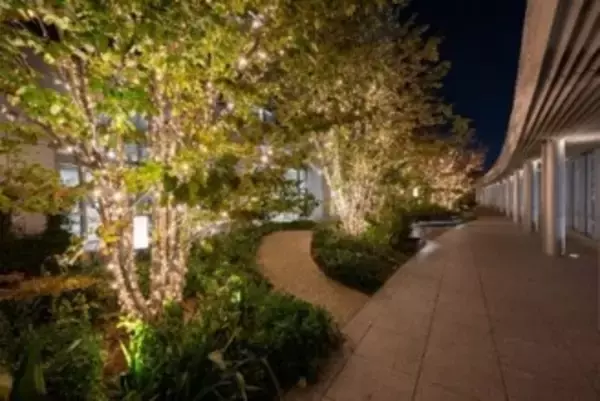 「【東京ミッドタウン八重洲】東京ミッドタウン八重洲で過ごす特別なクリスマス　イルミネーションとともに楽しめるクリスマスマーケット開催館内店舗ではこの冬だけの限定メニューやアイテムが登場」の画像