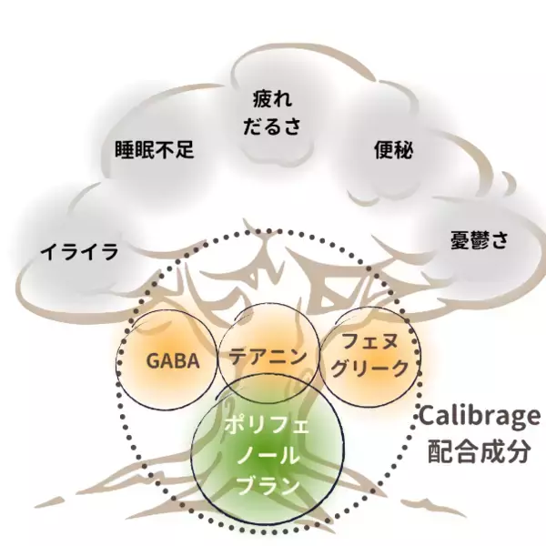 「昭和大学との共同開発！ 株式会社旗ケ岡ネイチャー研究所が、不調に悩む現代人のためのサステナブルなサプリメント「Calibrage（キャリブラージ）」を発売」の画像