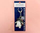 「【すみだ水族館】ペンギンたちの関係性を最新版にアップデート!「すみだペンギン相関図2025」を公開」の画像6