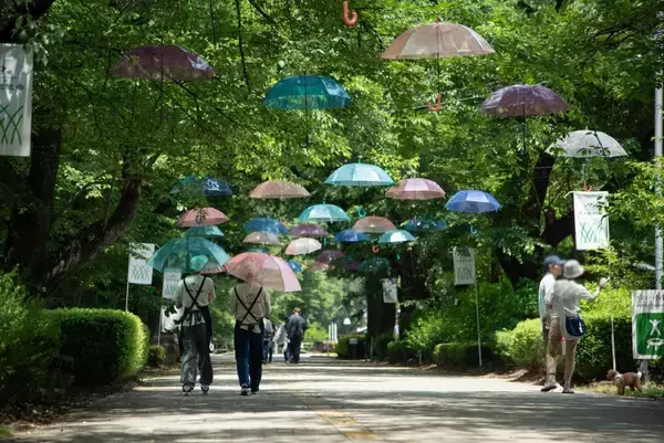 「那須千本松牧場が約120本のカラフル傘で梅雨を彩る期間限定イベント「千本松アンブレラウォーク」を初開催」の画像