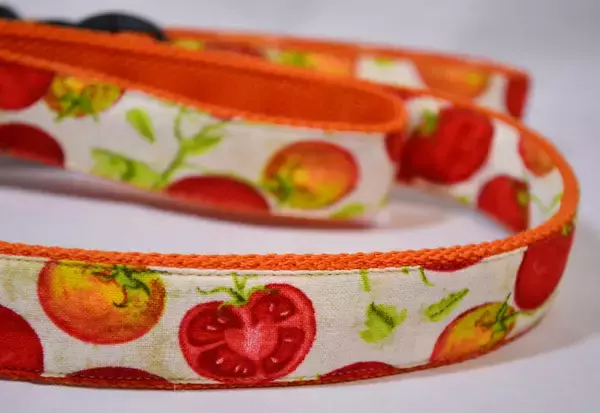 「那須千本松牧場が約120本のカラフル傘で梅雨を彩る期間限定イベント「千本松アンブレラウォーク」を初開催」の画像