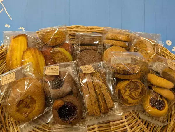 「那須千本松牧場が約120本のカラフル傘で梅雨を彩る期間限定イベント「千本松アンブレラウォーク」を初開催」の画像