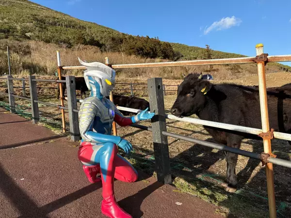 「「ウルトラマン基金」被災地支援訪問八丈島の園児とウルトラマンゼロが交流」の画像