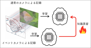 【立教大学】Eventカメラからの知識蒸留で、AIに「形を見る力」を与える ～ AI 研究の世界最高峰、国際会議「NeurIPS 2026」に論文採択 ～