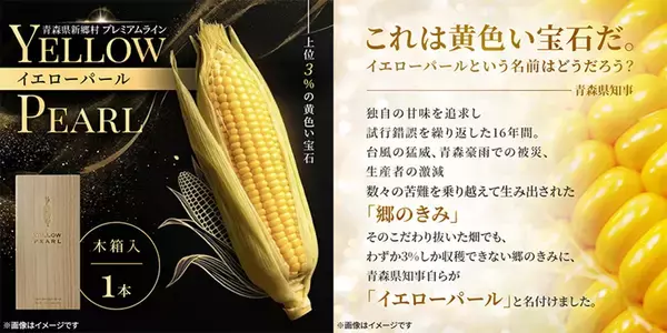 青森が生んだ上位3％の奇跡「郷のきみイエローパール」ふるさと納税のお礼品に登場！