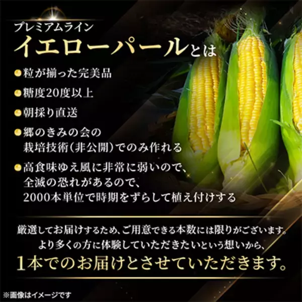 「青森が生んだ上位3％の奇跡「郷のきみイエローパール」ふるさと納税のお礼品に登場！」の画像