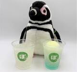 「【すみだ水族館】新しい羽に生え変わる「換羽」を迎えたペンギンたちに注目!換羽を知り、体験できる展示を7月30日より実施」の画像4