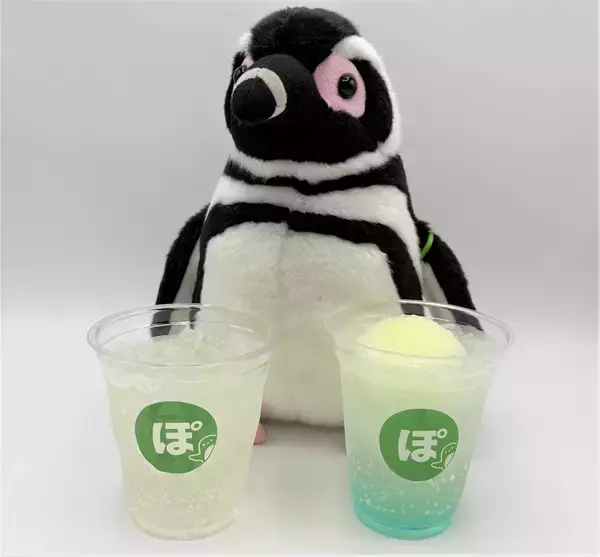 「【すみだ水族館】新しい羽に生え変わる「換羽」を迎えたペンギンたちに注目!換羽を知り、体験できる展示を7月30日より実施」の画像