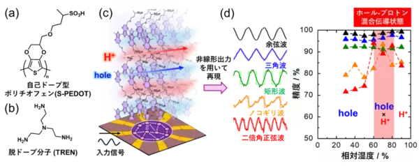 【立教大学】マテリアルリザバー性能が向上する電子 - イオン混合伝導～イオンを積極的に活用したニューロモルフィック分子ネットワークの実証～