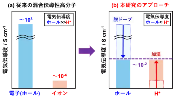 「【立教大学】マテリアルリザバー性能が向上する電子 - イオン混合伝導～イオンを積極的に活用したニューロモルフィック分子ネットワークの実証～」の画像