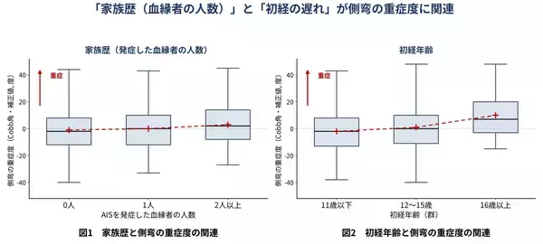 「思春期特発性側弯症の重症度に「家族歴」と「初経の遅れ」が関連」の画像