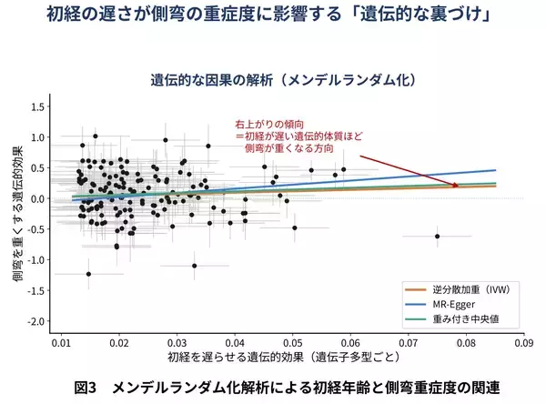 「思春期特発性側弯症の重症度に「家族歴」と「初経の遅れ」が関連」の画像