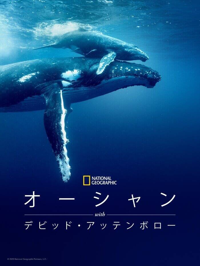 エミー賞で13冠！ディズニープラス配信作品受賞結果まとめ