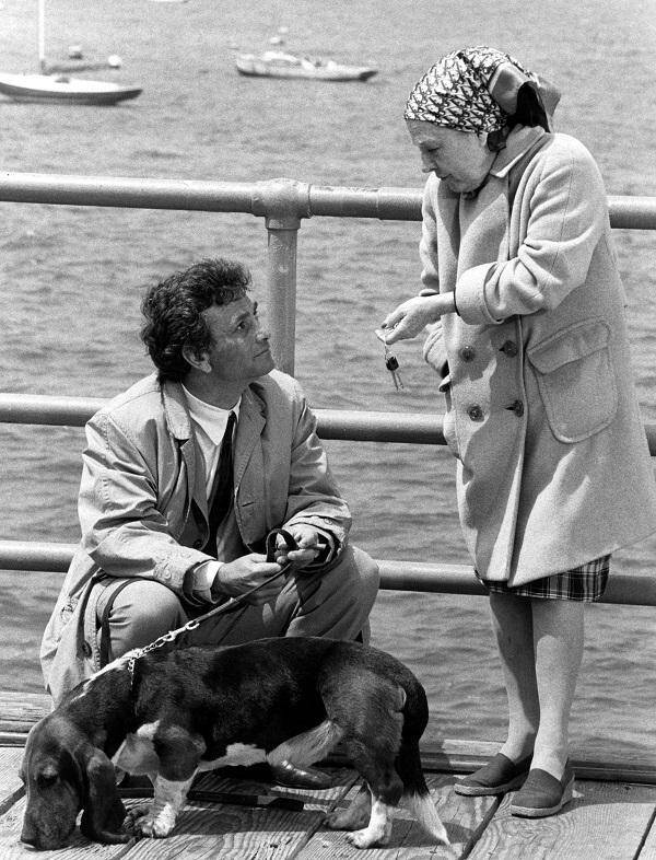 【ミステリーチャンネル 1月ラインナップ】『ミステリー in パラダイス』クリエイター関連作が独占日本初放送