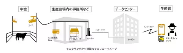 牛の分娩兆候をAIモニタリングシステムで検知