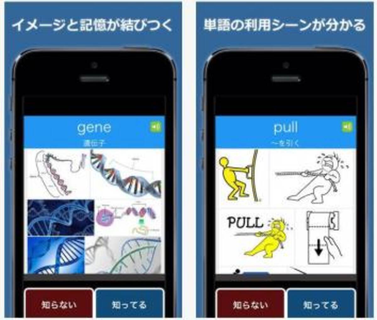 これなら覚えられる 画像検索で英単語記憶をサポートする イメージ検索 見るだけtoeic英単語 15年6月21日 エキサイトニュース