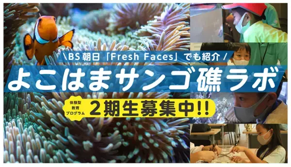 東大発ベンチャーが、横浜ベイサイドイベントに参画