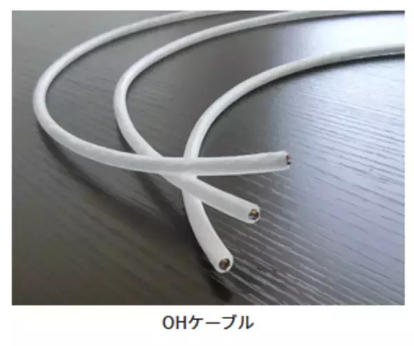 食品製造過程で耐久性のあるケーブルが開発される