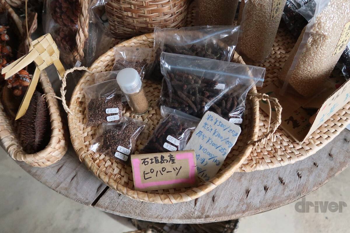 “怪獣”的要素満載な8本足をド撮！ 「三好秀昌のニッポン探訪・取材ウラ話　第26回〜ヤシガニ」