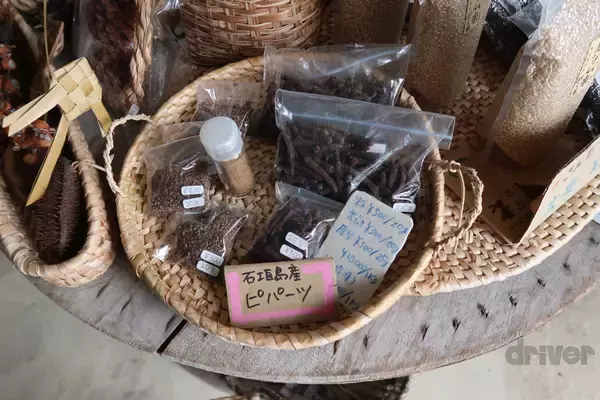 「“怪獣”的要素満載な8本足をド撮！ 「三好秀昌のニッポン探訪・取材ウラ話　第26回〜ヤシガニ」」の画像