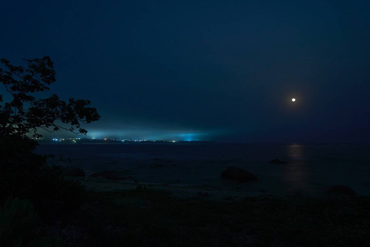 “怪獣”的要素満載な8本足をド撮！ 「三好秀昌のニッポン探訪・取材ウラ話　第26回〜ヤシガニ」