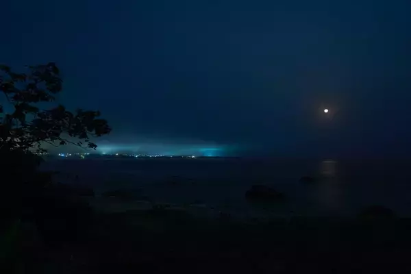 「“怪獣”的要素満載な8本足をド撮！ 「三好秀昌のニッポン探訪・取材ウラ話　第26回〜ヤシガニ」」の画像