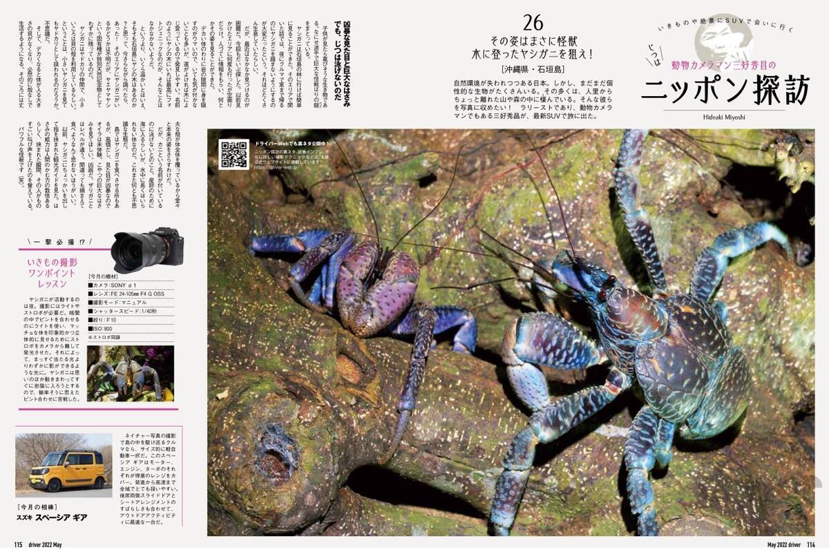 “怪獣”的要素満載な8本足をド撮！ 「三好秀昌のニッポン探訪・取材ウラ話　第26回〜ヤシガニ」