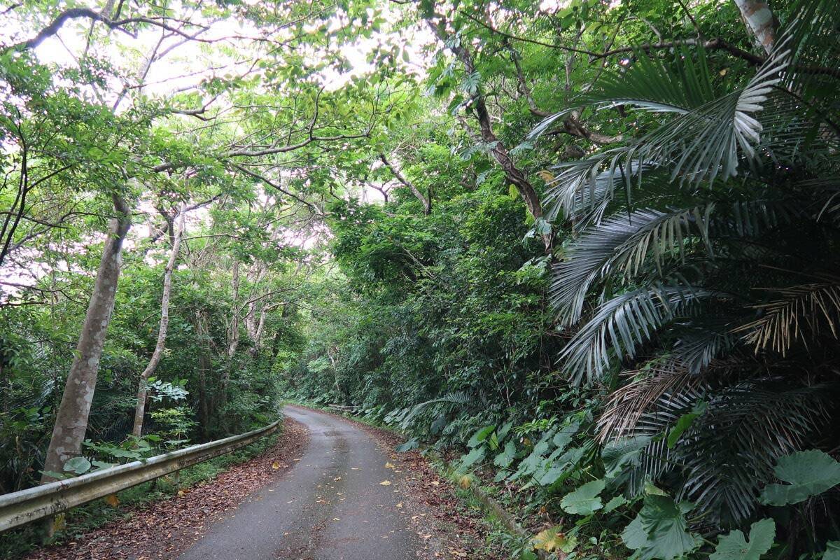 “怪獣”的要素満載な8本足をド撮！ 「三好秀昌のニッポン探訪・取材ウラ話　第26回〜ヤシガニ」