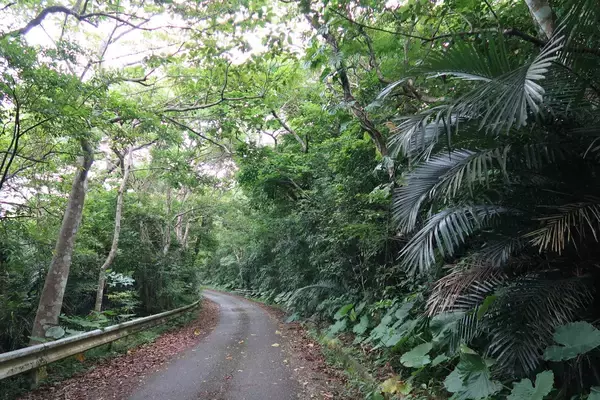 「“怪獣”的要素満載な8本足をド撮！ 「三好秀昌のニッポン探訪・取材ウラ話　第26回〜ヤシガニ」」の画像