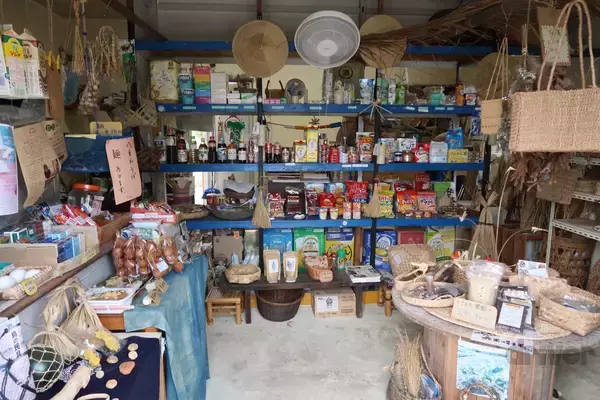 「“怪獣”的要素満載な8本足をド撮！ 「三好秀昌のニッポン探訪・取材ウラ話　第26回〜ヤシガニ」」の画像