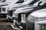 「【デリカファンミーティング2026】デリカD:5を中心に1400台ものデリカファミリーが集い、 「見て」、「買って」、「触れ合える」 日本最大級のデリカの祭典」の画像2
