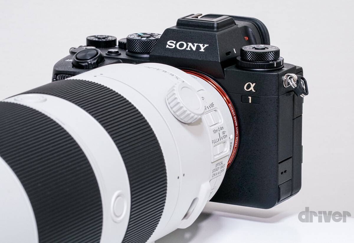 貴重な“カンムリ（冠）”ポーズを瞬撮！「三好秀昌のニッポン探訪・取材ウラ話　第16回〜カンムリワシ」