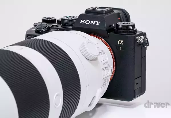 「貴重な“カンムリ（冠）”ポーズを瞬撮！「三好秀昌のニッポン探訪・取材ウラ話　第16回〜カンムリワシ」」の画像