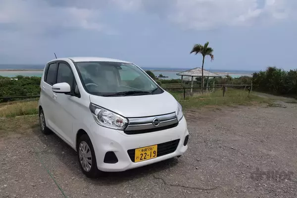 「貴重な“カンムリ（冠）”ポーズを瞬撮！「三好秀昌のニッポン探訪・取材ウラ話　第16回〜カンムリワシ」」の画像