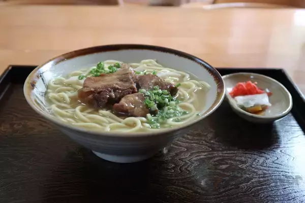 「貴重な“カンムリ（冠）”ポーズを瞬撮！「三好秀昌のニッポン探訪・取材ウラ話　第16回〜カンムリワシ」」の画像