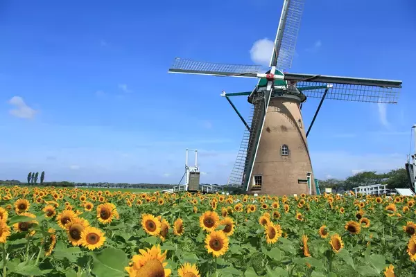 「町おこしが斬新！ご当地ゲームに加え痛車まで作った地方自治体があった」の画像