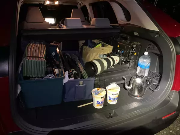 「幻想的なホタルをキラキラ連写！「三好秀昌のニッポン探訪・取材ウラ話　第17回〜ホタル」」の画像