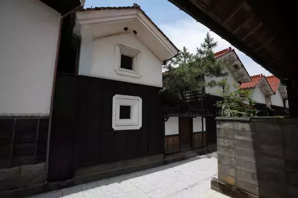 「睡眠不足で根負けしてあわや撮影失敗⁉「三好秀昌のニッポン探訪・取材ウラ話　第18回〜オオコノハズク」」の画像