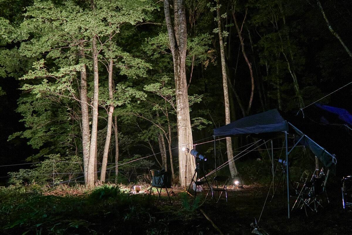 睡眠不足で根負けしてあわや撮影失敗⁉「三好秀昌のニッポン探訪・取材ウラ話　第18回〜オオコノハズク」