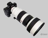 「睡眠不足で根負けしてあわや撮影失敗⁉「三好秀昌のニッポン探訪・取材ウラ話　第18回〜オオコノハズク」」の画像6