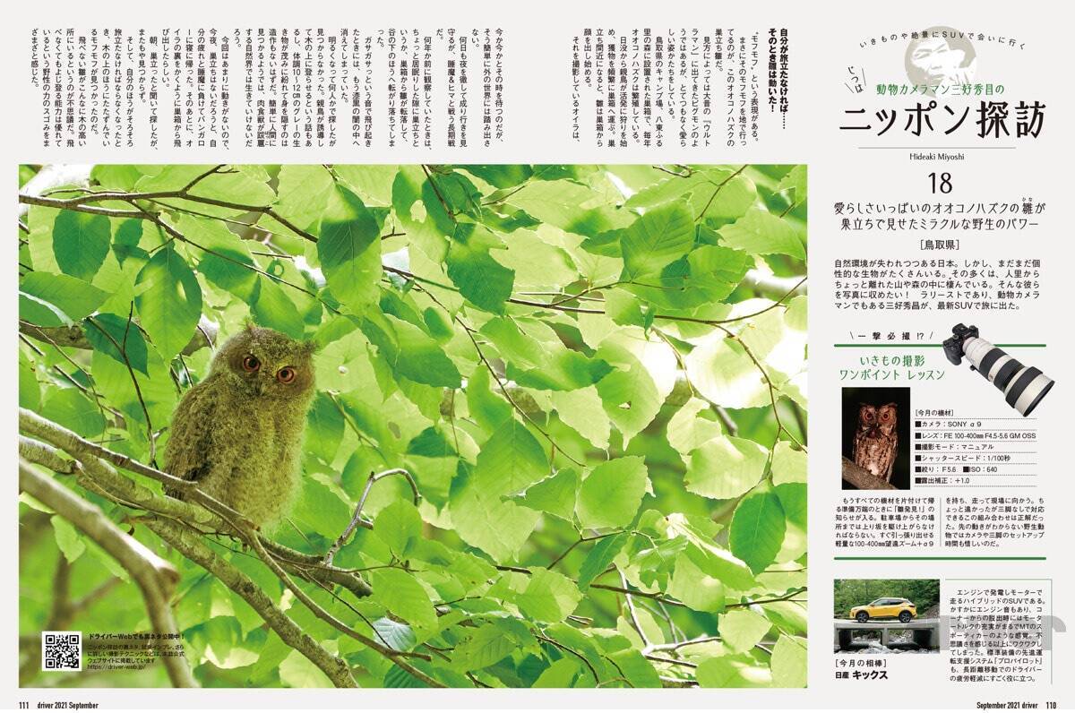 睡眠不足で根負けしてあわや撮影失敗⁉「三好秀昌のニッポン探訪・取材ウラ話　第18回〜オオコノハズク」