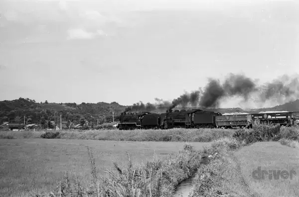 「太古より生き続けるカブトガニの脱皮殻をスケスケ写!?「三好秀昌のニッポン探訪・取材ウラ話　第19回〜カブトガニ」」の画像