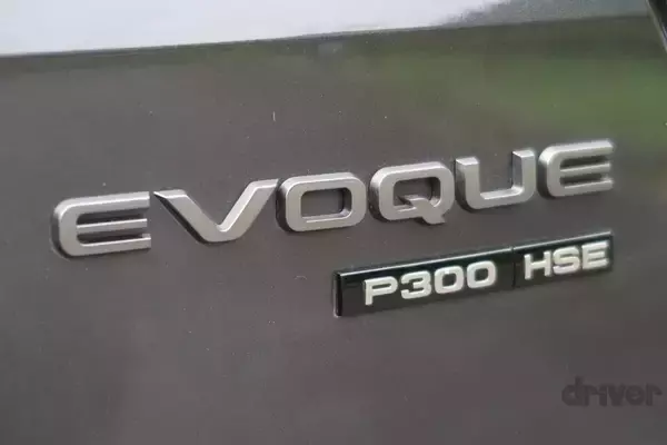 「太古より生き続けるカブトガニの脱皮殻をスケスケ写!?「三好秀昌のニッポン探訪・取材ウラ話　第19回〜カブトガニ」」の画像