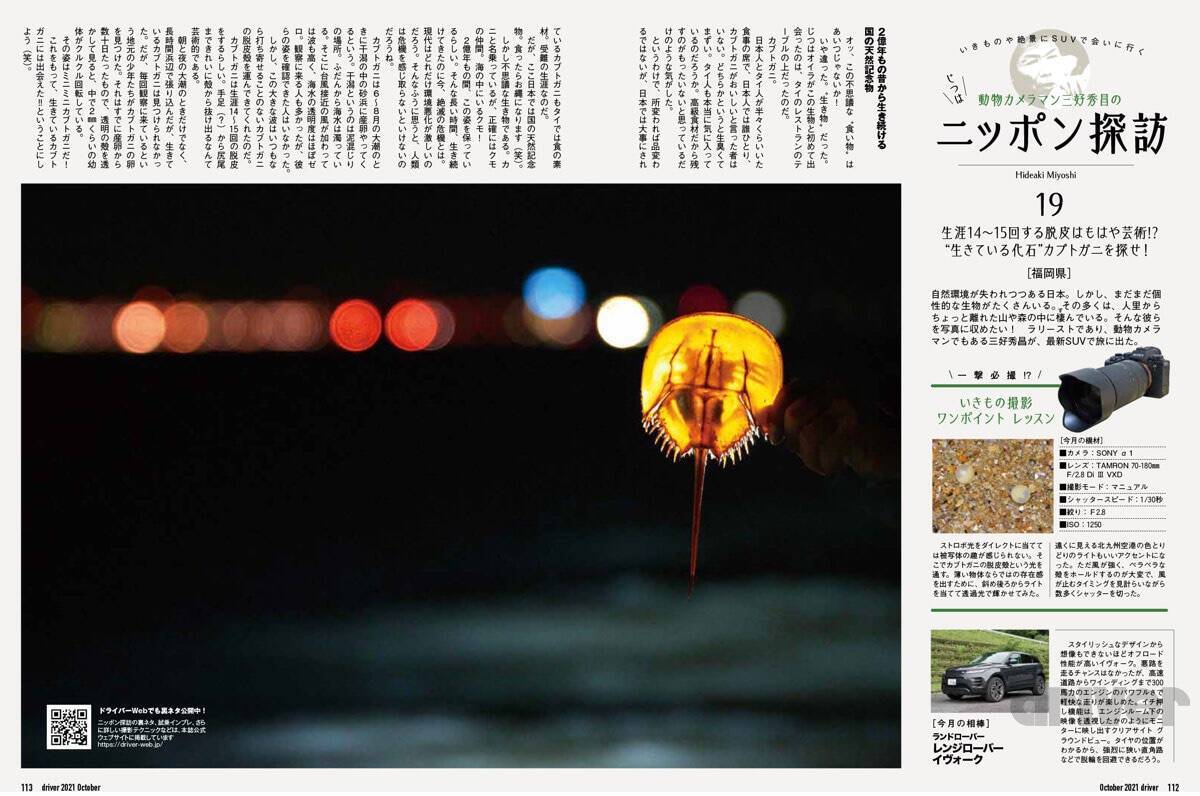 太古より生き続けるカブトガニの脱皮殻をスケスケ写!?「三好秀昌のニッポン探訪・取材ウラ話　第19回〜カブトガニ」