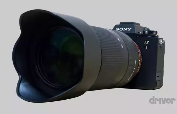 「太古より生き続けるカブトガニの脱皮殻をスケスケ写!?「三好秀昌のニッポン探訪・取材ウラ話　第19回〜カブトガニ」」の画像