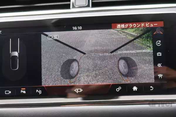 「太古より生き続けるカブトガニの脱皮殻をスケスケ写!?「三好秀昌のニッポン探訪・取材ウラ話　第19回〜カブトガニ」」の画像