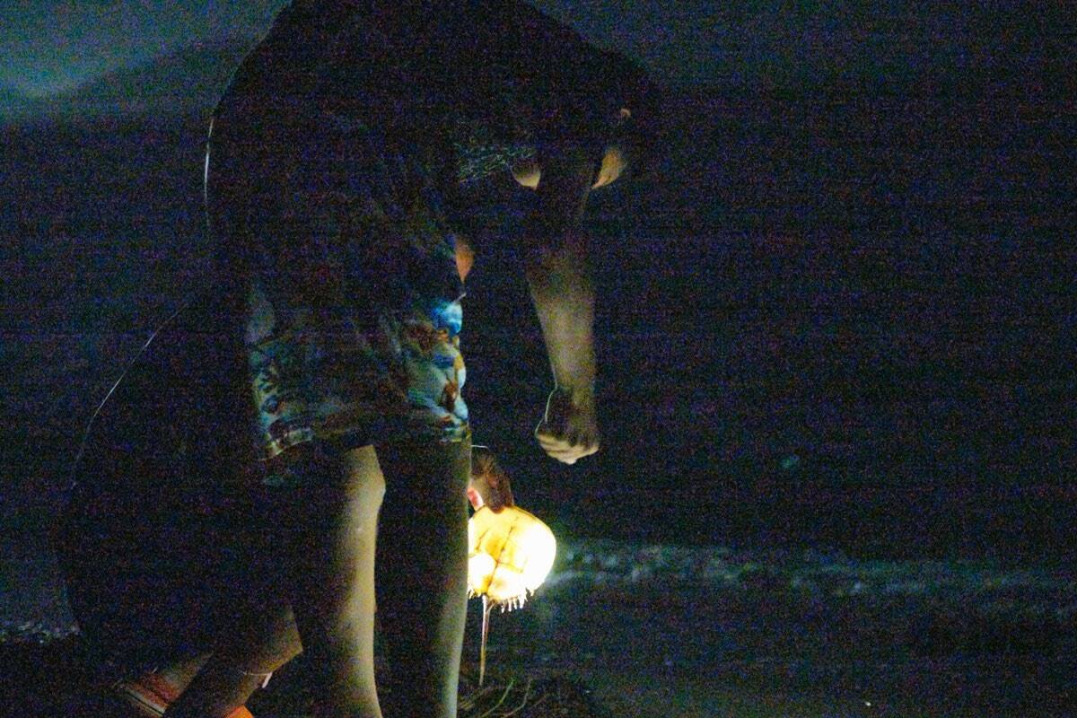 太古より生き続けるカブトガニの脱皮殻をスケスケ写!?「三好秀昌のニッポン探訪・取材ウラ話　第19回〜カブトガニ」