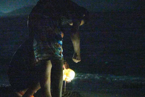 「太古より生き続けるカブトガニの脱皮殻をスケスケ写!?「三好秀昌のニッポン探訪・取材ウラ話　第19回〜カブトガニ」」の画像